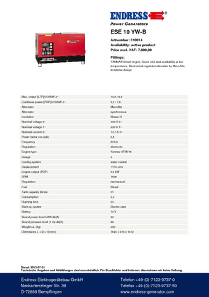 Generatoare de curent diesel Endress ESE 10 YW-B