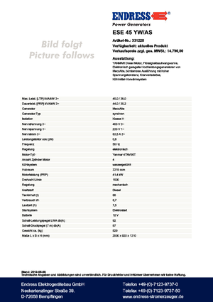 Generatoare de curent diesel Endress ESE 45 YW/AS 