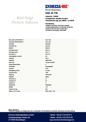 Generatoare de curent diesel Endress ESE 45 YW 