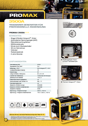 Generatoare de curent diesel Vanguard Promax 3500 A