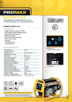 Generatoare de curent diesel Vanguard Promax 6000 A