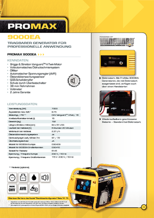 Generatoare de curent diesel Vanguard Promax 9000 EA