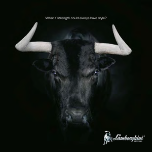 Tractoare 4WD Lamborghini Nitro 100 DT