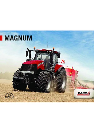 Tractoare 4WD Case IH Magnum 310 CVX Basis