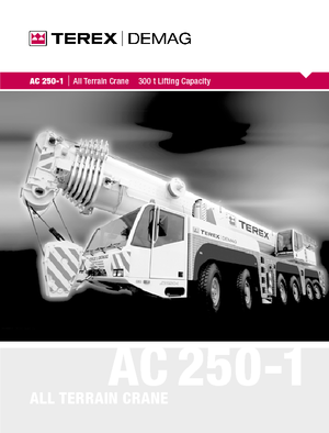 Macarale all-terrain Terex-Demag AC 250-1 (12x8x10)
