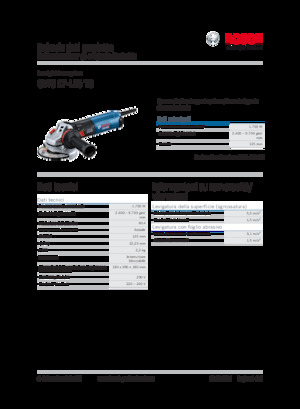Polizoare unghiulare Bosch GWS 17-125 TS