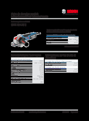 Polizoare unghiulare Bosch GWX 19-125 S