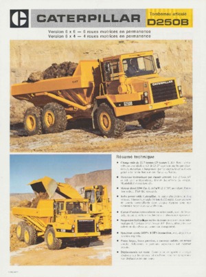 Autobasculante articulate Caterpillar D250B