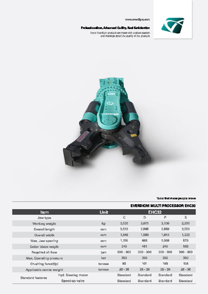 Multiprocesoare Everdigm EHC32