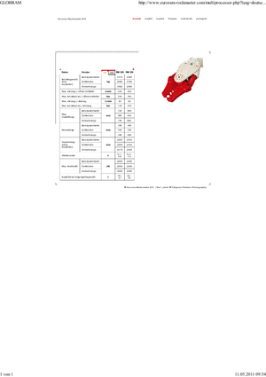 Multiprocesoare Globram RM330