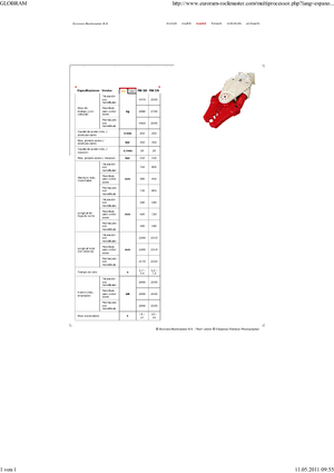Multiprocesoare Globram RM330
