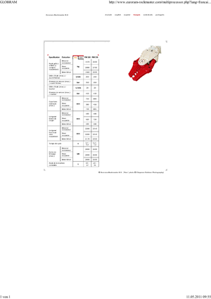 Multiprocesoare Globram RM330