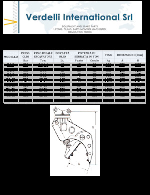 Pulverizatoare beton Verdelli D.I. 13