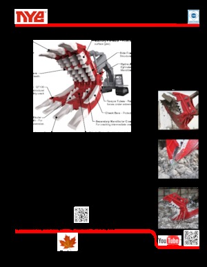 Pulverizatoare beton Nye TRX550U