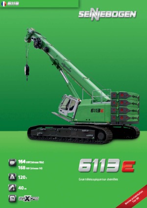 Macarale pe șenile - braț telescopic Sennebogen 6113 R