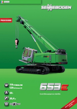 Macarale pe șenile - braț telescopic Sennebogen 653 R