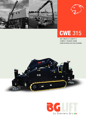 Macarale pe șenile - braț telescopic BG Lift CWE 315 