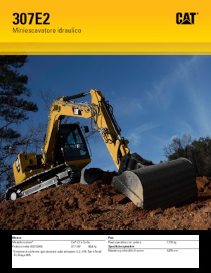 Excavatoare pe șenile Caterpillar 30700