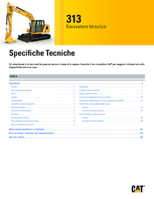 Excavatoare pe șenile Caterpillar 313