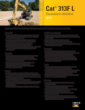 Excavatoare pe șenile Caterpillar 313F L  