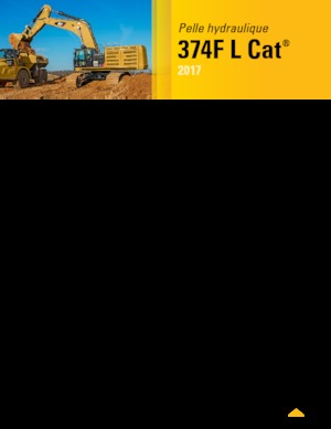 Excavatoare pe șenile Caterpillar 374F L