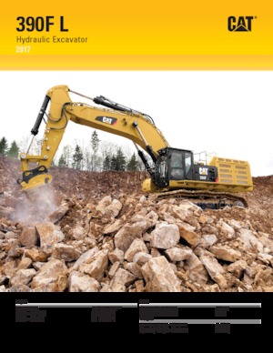 Excavatoare pe șenile Caterpillar 390F L