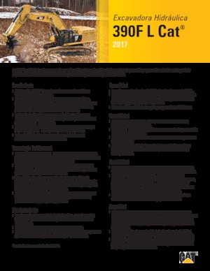 Excavatoare pe șenile Caterpillar 390F L