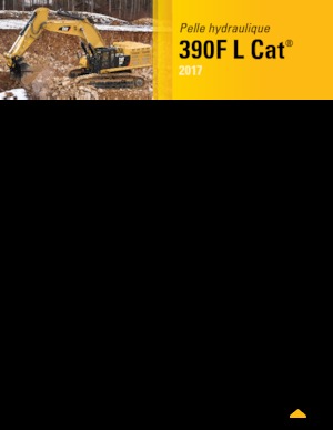 Excavatoare pe șenile Caterpillar 390F L
