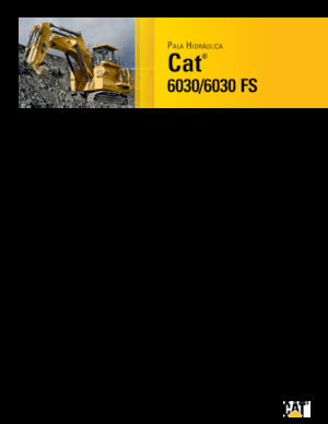 Excavatoare pe șenile Caterpillar 6030 FS