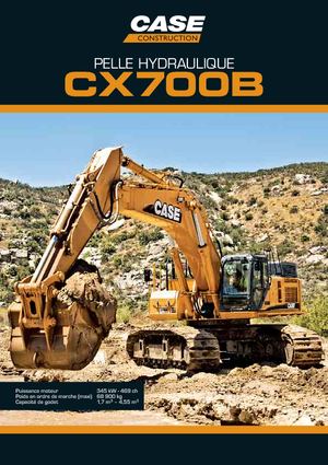 Excavatoare pe șenile Case CX 700 B