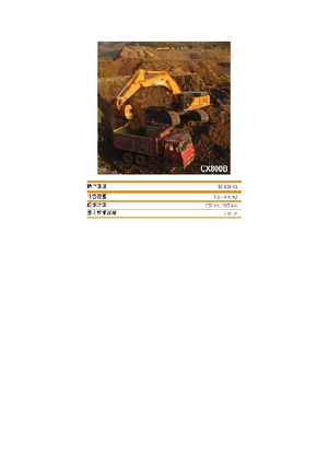 Excavatoare pe șenile Case CX 800 B