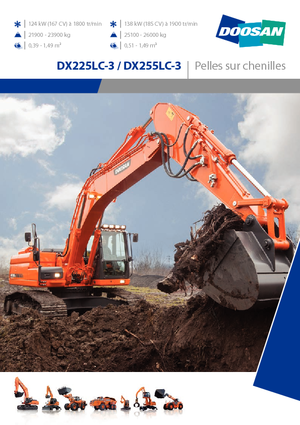 Excavatoare pe șenile Doosan DX255NLC-3