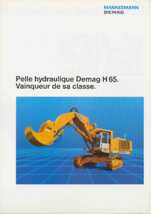 Excavatoare pe șenile Demag H 65
