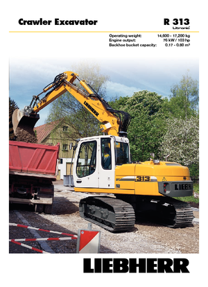 Excavatoare pe șenile Liebherr R 313 Litronic