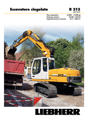 Excavatoare pe șenile Liebherr R 313 Litronic