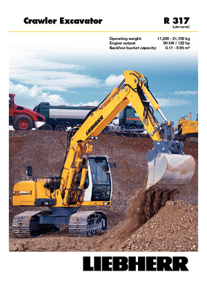 Excavatoare pe șenile Liebherr R 317 Litronic