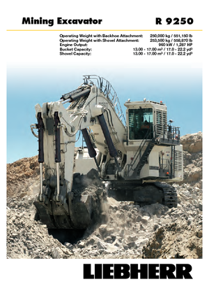 Excavatoare pe șenile Liebherr R 9250 