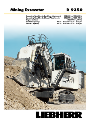 Excavatoare pe șenile Liebherr R 9350 