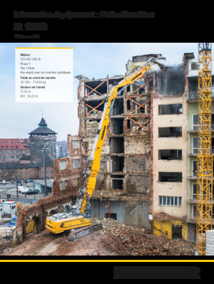 Excavatoare pe șenile Liebherr R 950 Demolition Litronic 