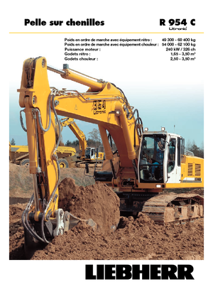 Excavatoare pe șenile Liebherr R 954 C Litronic