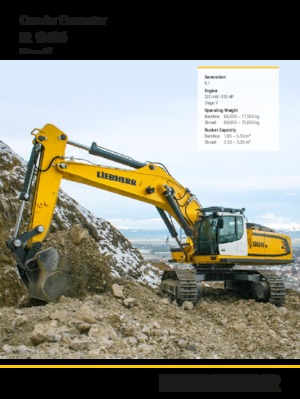 Excavatoare pe șenile Liebherr R 966 Litronic 