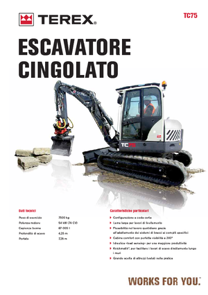 Excavatoare pe șenile Terex TC 75
