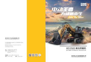 Excavatoare pe șenile XCMG XE1350