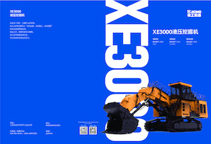 Excavatoare pe șenile XCMG XE3000