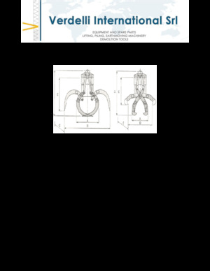 Apucătoare de demolare Verdelli F.E.E. /25