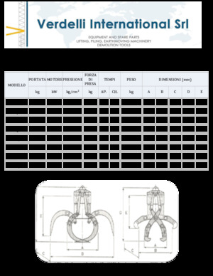 Apucătoare de demolare Verdelli F.E.E. /25