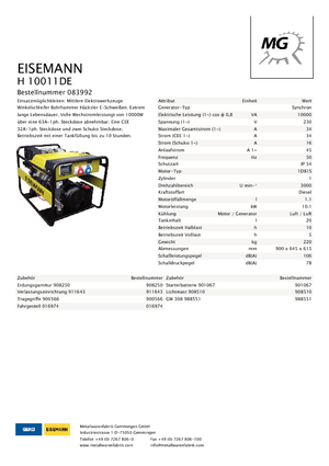 Generatoare de curent diesel Eisemann H 10011 DE