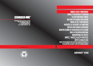 Generatoare de curent diesel Endress ESE 1204 DHS-GT ES ISO DI