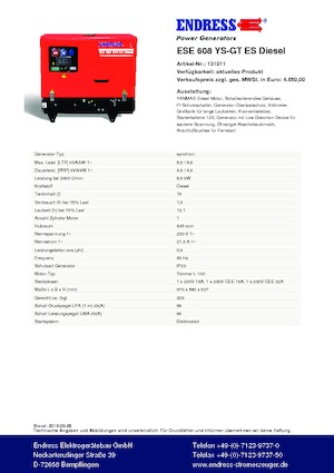 Generatoare de curent pe benzină Endress ESE 608 YS-GT ES DI