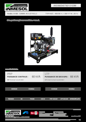Generatoare de curent diesel INMESOL AI-066